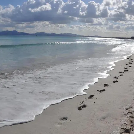 Charming Sea View In Daire